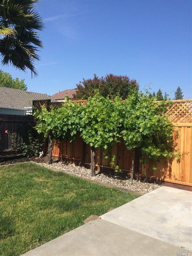 325 Broad Oak Way, Windsor, CA 95492 photo 17