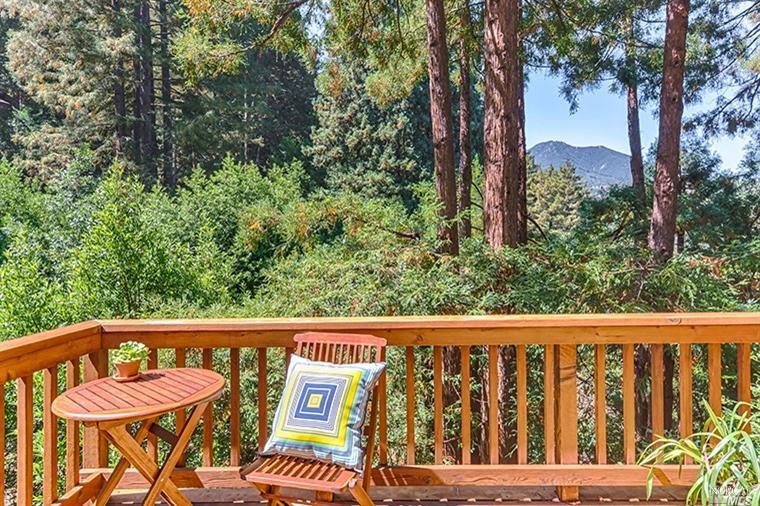 86 Florence Ave, Mill Valley, CA 94941 photo 1