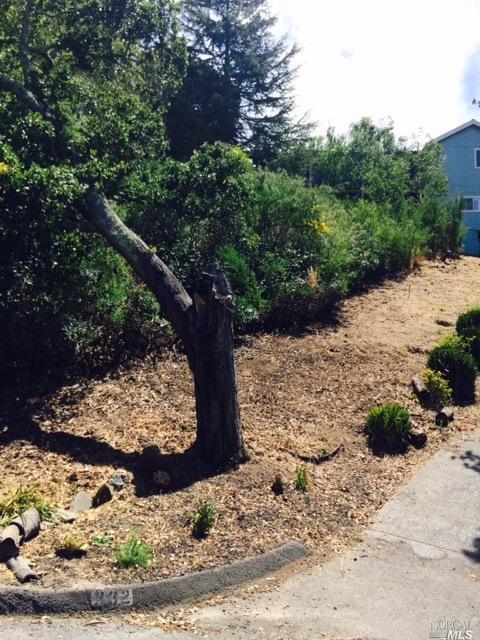 334 Dolan Ave, Mill Valley, CA 94941 photo 3