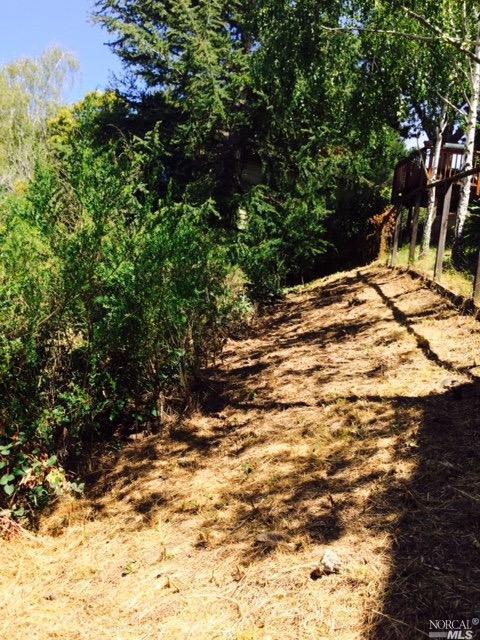 334 Dolan Ave, Mill Valley, CA 94941 photo 4