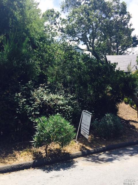 334 Dolan Ave, Mill Valley, CA 94941 photo 2
