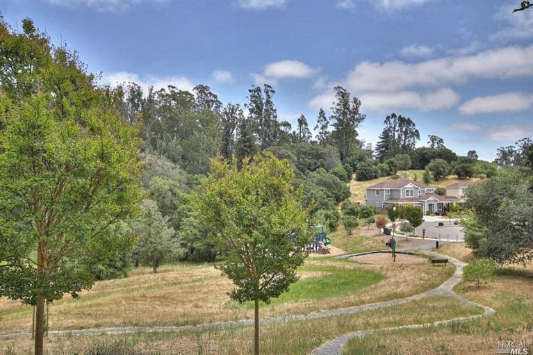 1005 Samuel Dr, Petaluma, CA 94952 photo 24