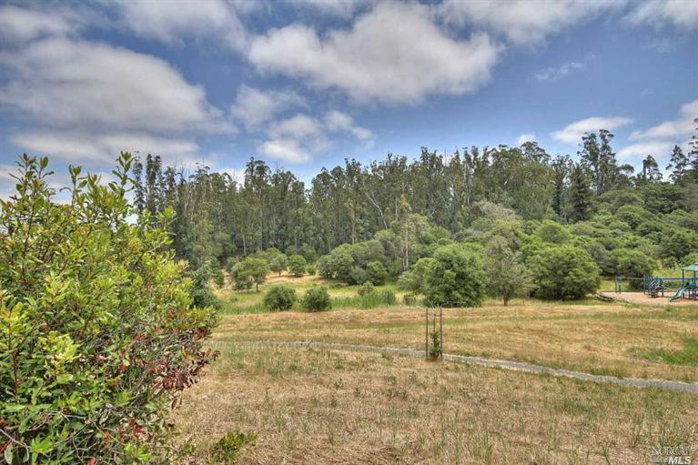 1005 Samuel Dr, Petaluma, CA 94952 photo 25