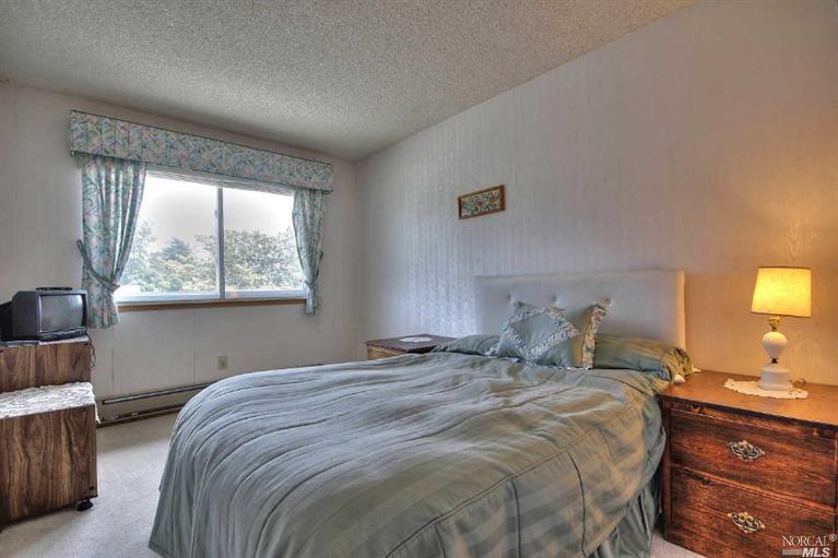 1005 Samuel Dr, Petaluma, CA 94952 photo 16