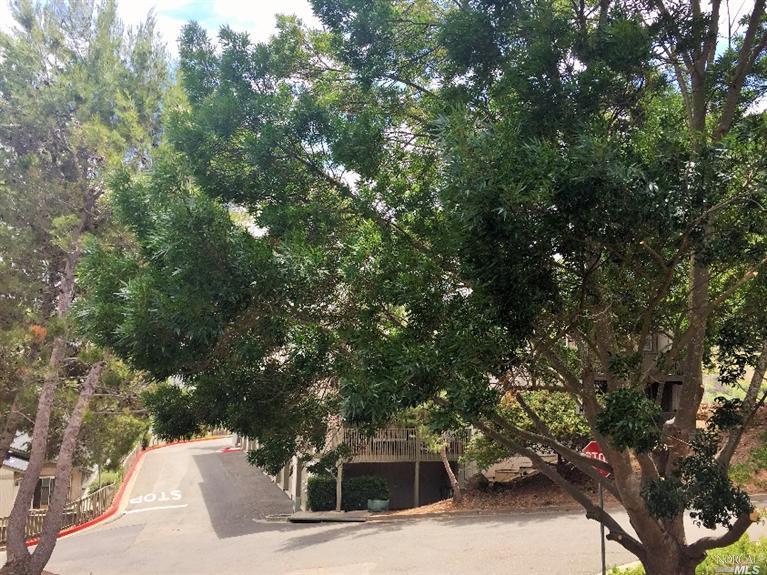 101 Nautical Ct, Vallejo, CA 94591 photo 22