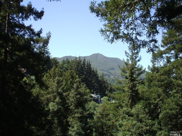 Undisclosed, Mill Valley, CA 94941 photo 1