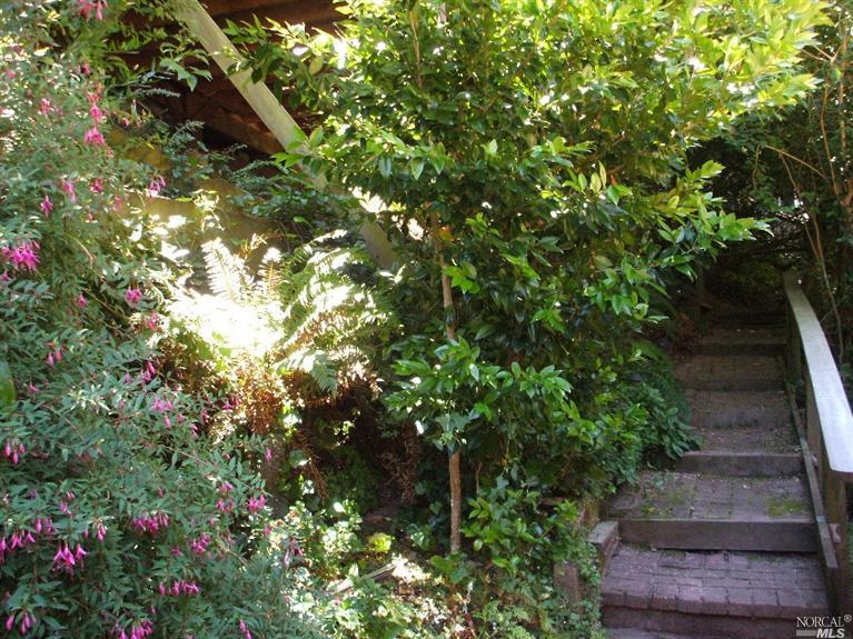 Undisclosed, Mill Valley, CA 94941 photo 4