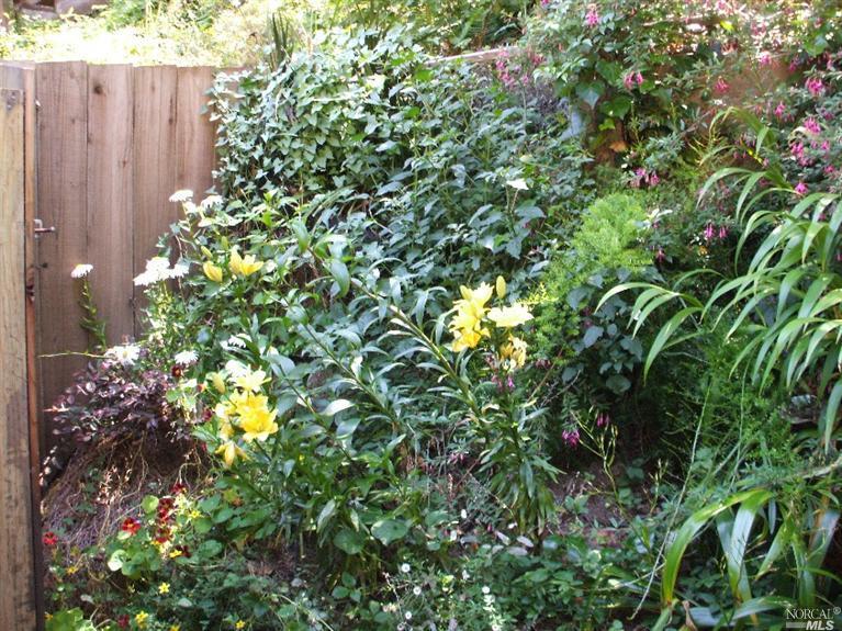 Undisclosed, Mill Valley, CA 94941 photo 6