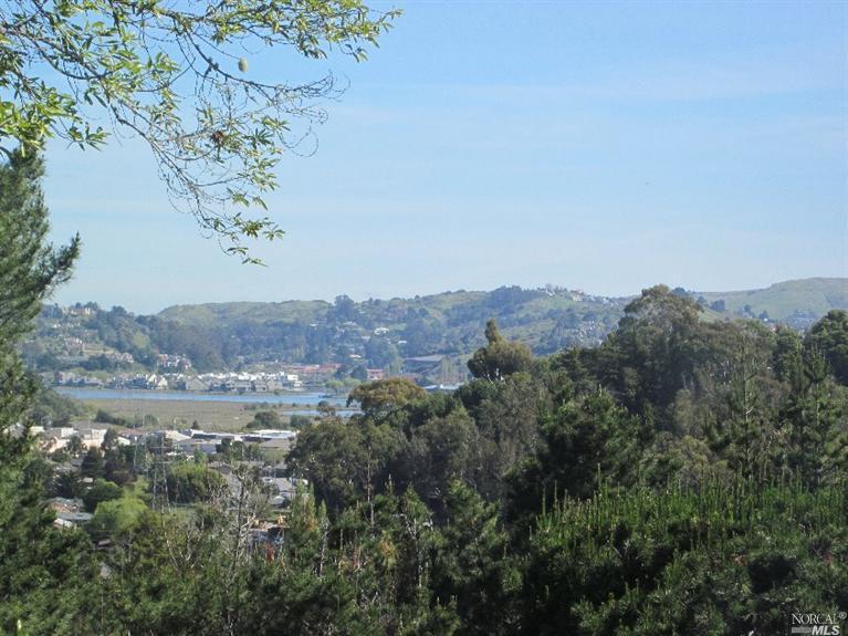 327 Carrera Dr, Mill Valley, CA 94941 photo 1