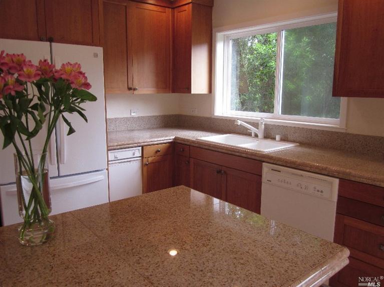 327 Carrera Dr, Mill Valley, CA 94941 photo 44
