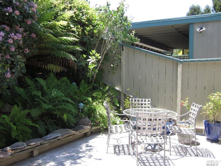 327 Carrera Dr, Mill Valley, CA 94941 photo 35