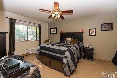 919 Indiana Ave, Windsor, CA 95492 photo 8