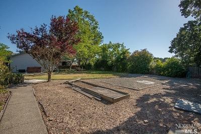 919 Indiana Ave, Windsor, CA 95492 photo 13
