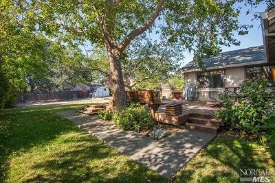 919 Indiana Ave, Windsor, CA 95492 photo 12