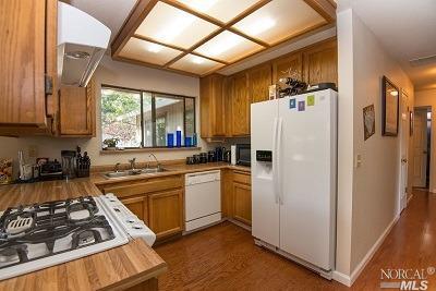 919 Indiana Ave, Windsor, CA 95492 photo 7