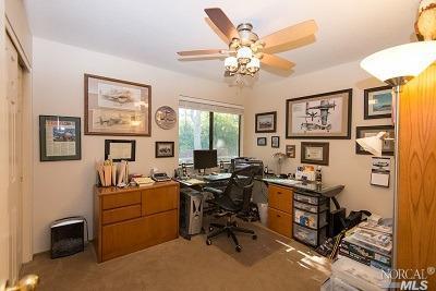919 Indiana Ave, Windsor, CA 95492 photo 9