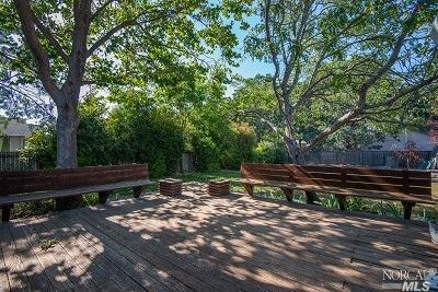 919 Indiana Ave, Windsor, CA 95492 photo 11