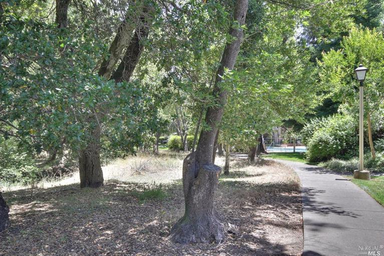 37 Flicker Dr, Novato, CA 94949 photo 26