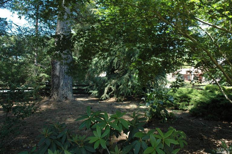 2155 Schaeffer Rd, Sebastopol, CA 95472 photo 28