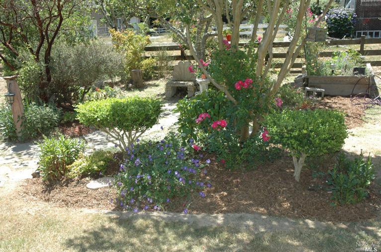 2155 Schaeffer Rd, Sebastopol, CA 95472 photo 16