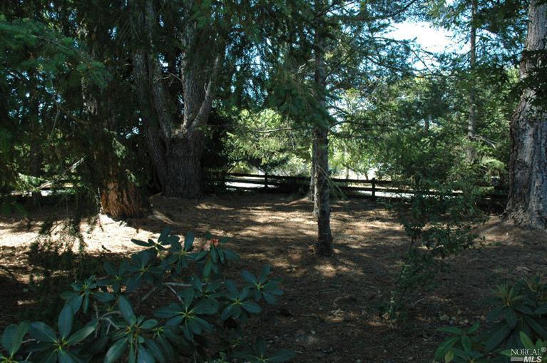 2155 Schaeffer Rd, Sebastopol, CA 95472 photo 27