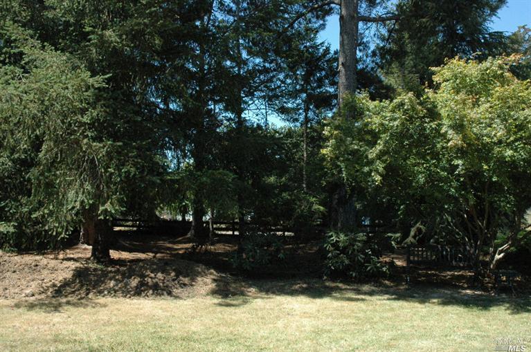 2155 Schaeffer Rd, Sebastopol, CA 95472 photo 26
