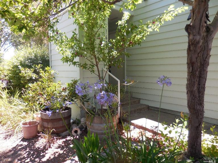 162 Courtyards E, Windsor, CA 95492 photo 2
