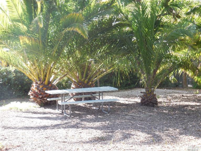 162 Courtyards E, Windsor, CA 95492 photo 26