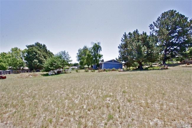 220 Eucalyptus Rd, Petaluma, CA 94952 photo 19