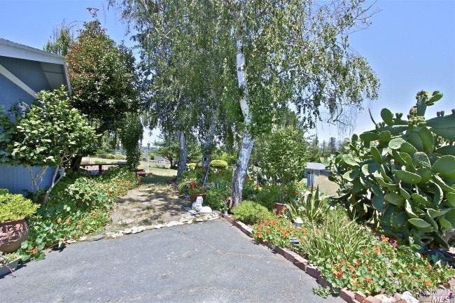 220 Eucalyptus Rd, Petaluma, CA 94952 photo 13