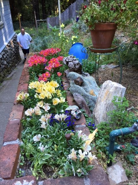 Undisclosed, Occidental, CA 95465 photo 26