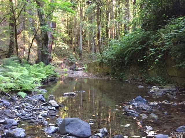 Undisclosed, Occidental, CA 95465 photo 2