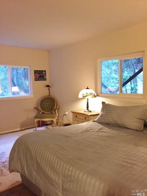 Undisclosed, Occidental, CA 95465 photo 12