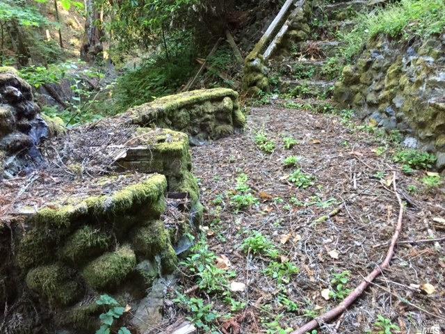 Undisclosed, Occidental, CA 95465 photo 23