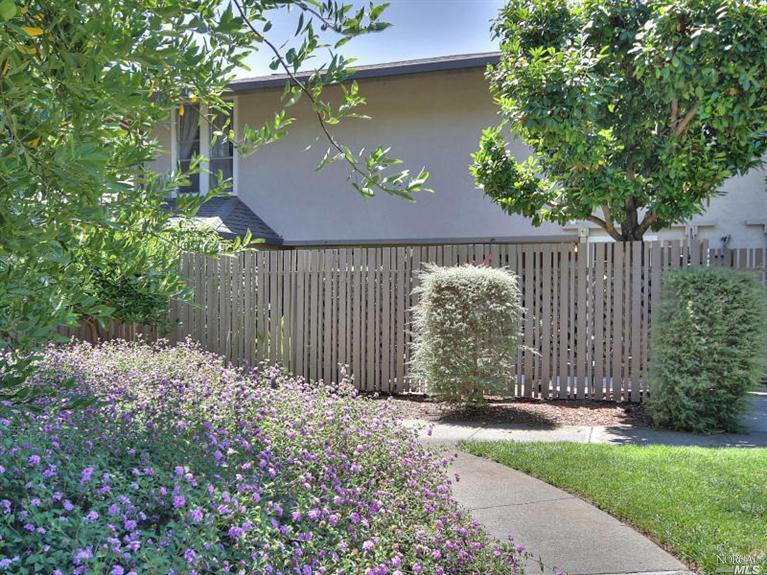 237 Roundtree Way, San Rafael, CA 94903 photo 20