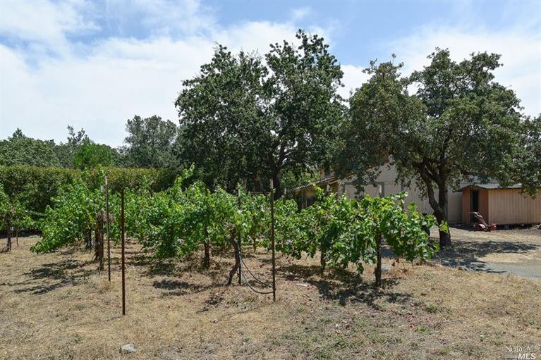 Undisclosed, Angwin, CA 94508 photo 35