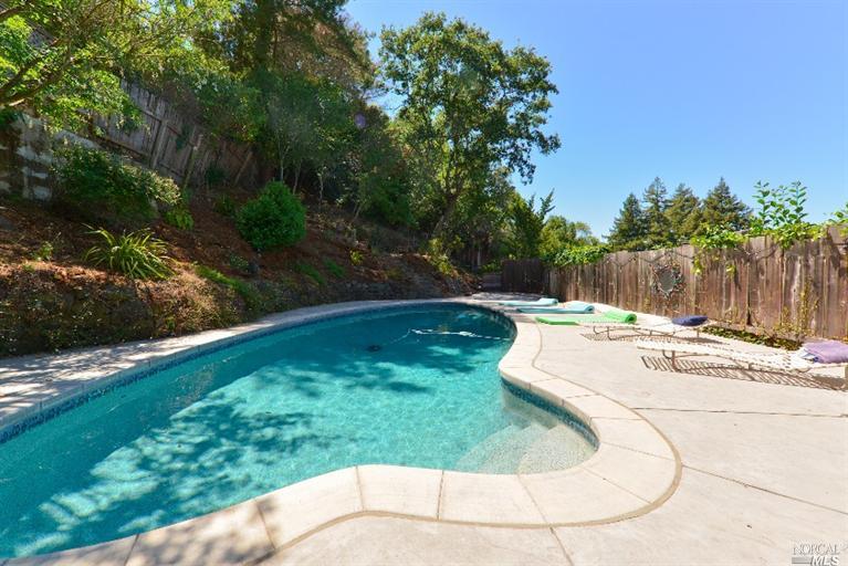 4 Chestnut Ave, Ross, CA 94957 photo 9