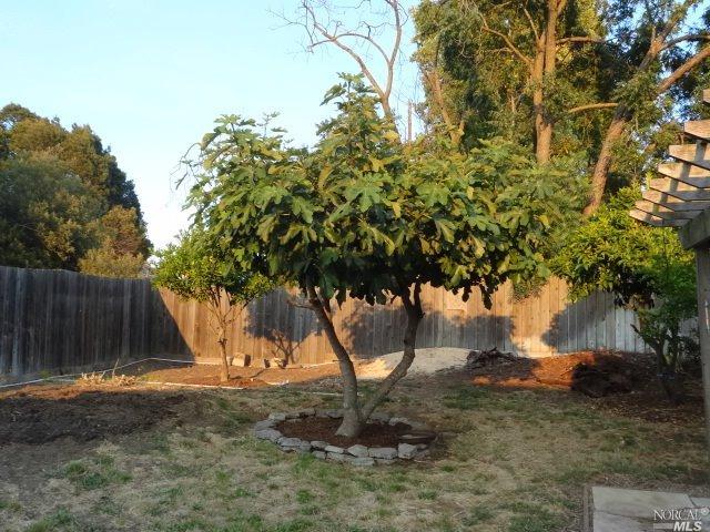 406 Home Acres Ave, Vallejo, CA 94591 photo 17