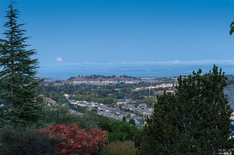 110 Crystal Ct, Novato, CA 94949 photo 34