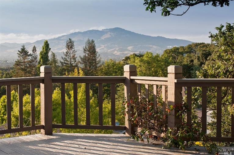 110 Crystal Ct, Novato, CA 94949 photo 18