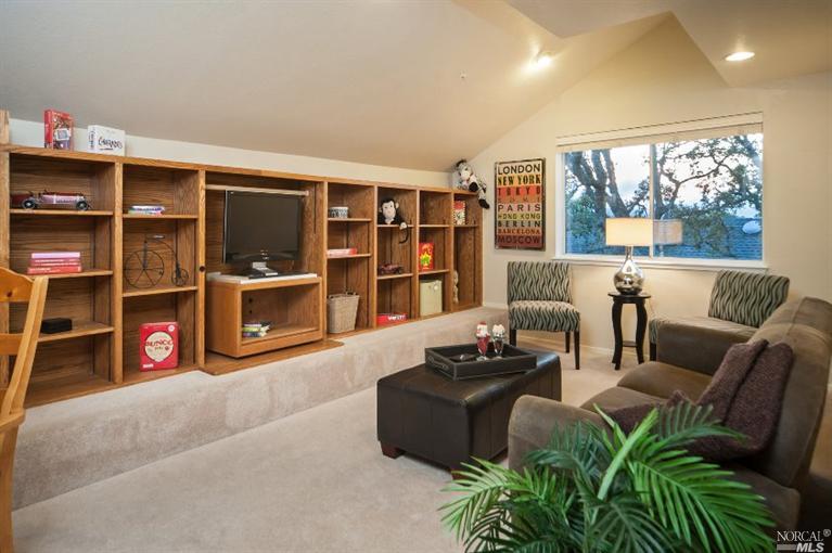 110 Crystal Ct, Novato, CA 94949 photo 22