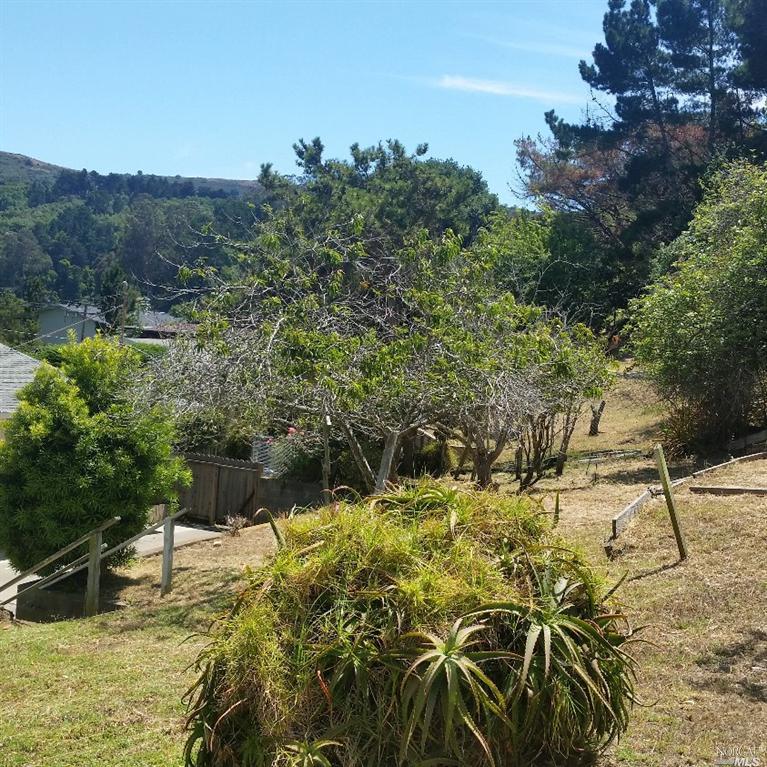 19 Park Cir, Sausalito, CA 94965 photo 17