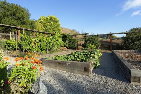3200 Nicasio Valley Rd, Nicasio, CA 94946 photo 19
