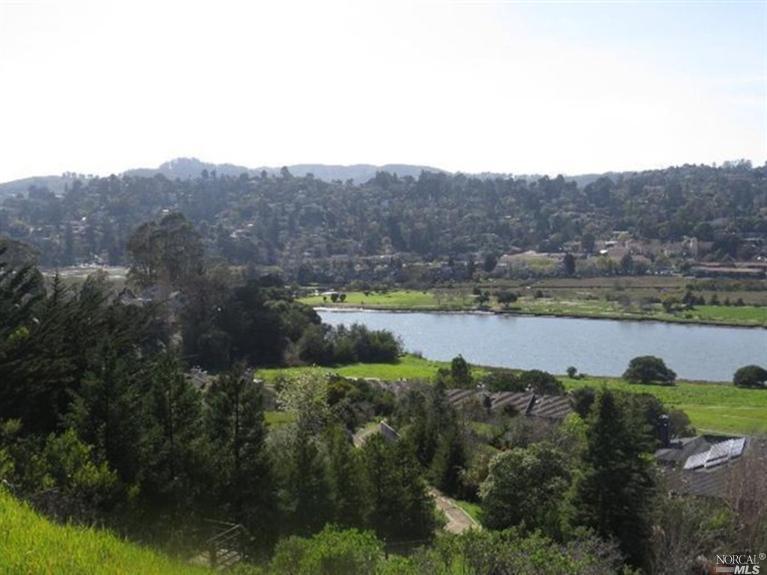 11 Byron Cir, Mill Valley, CA 94941 photo 29