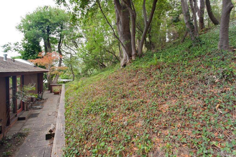 49 Shelley Dr, Mill Valley, CA 94941 photo 17