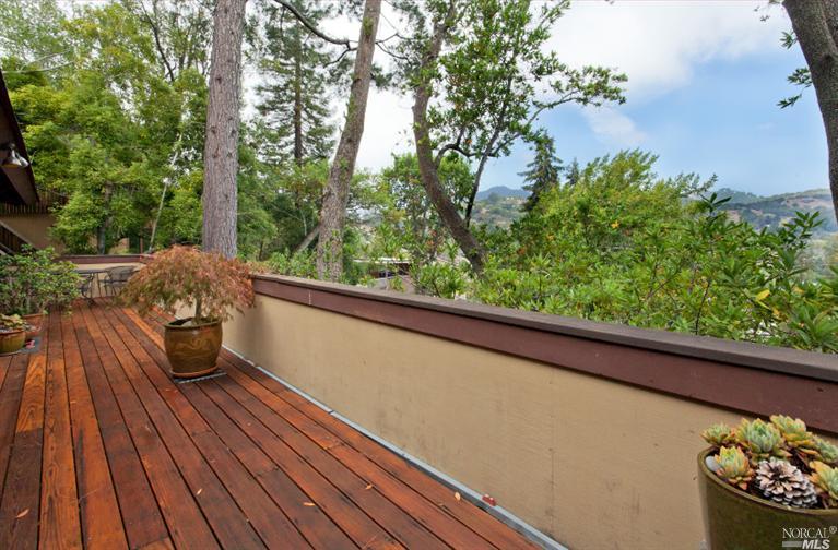 49 Shelley Dr, Mill Valley, CA 94941 photo 9