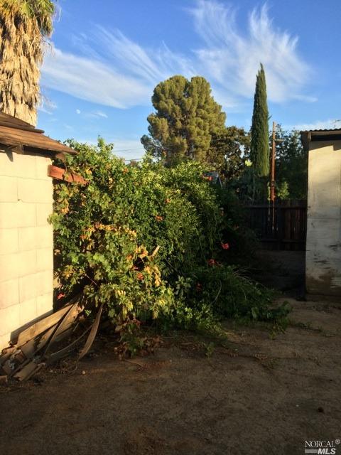 305 Abbey St, Winters, CA 95694 photo 12