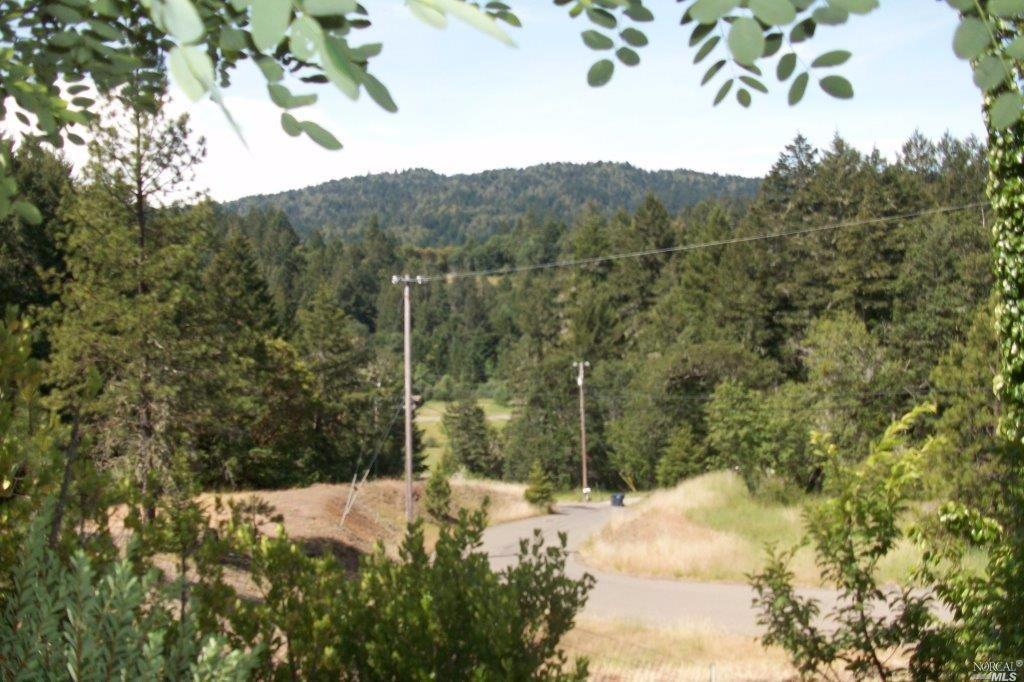 1447 Hulett Pl, Willits, CA 95490 photo 17