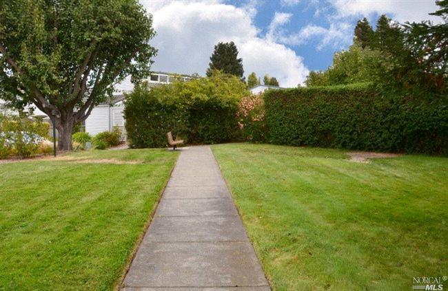 11 George St, Cotati, CA 94931 photo 16
