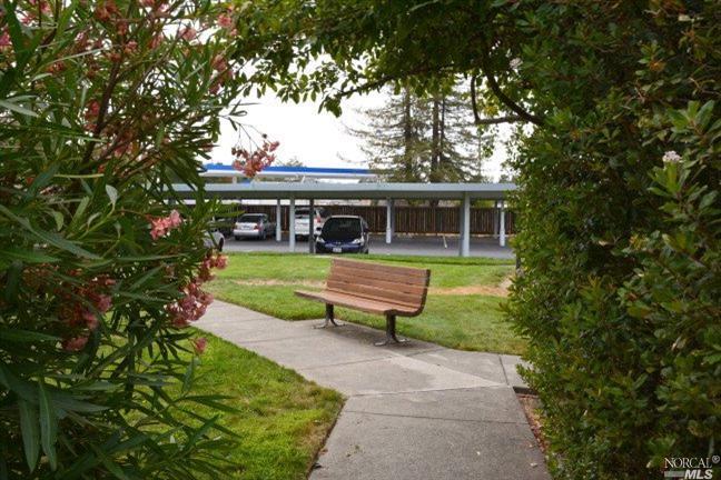 11 George St, Cotati, CA 94931 photo 15